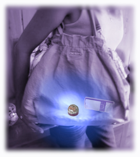 Orgonitas_aplicacion_bolso