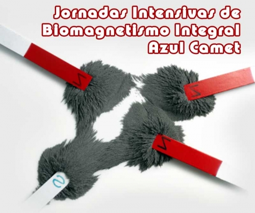 biomagnetismo_jornadas_de_acutlizacion_internacional_azul_camet_546799_t0