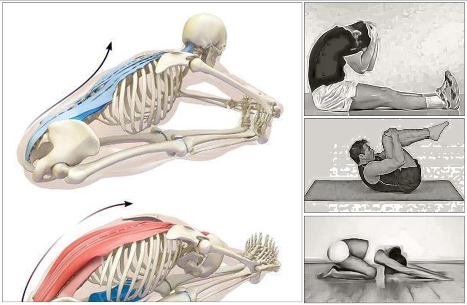 Estiramientos_musculares