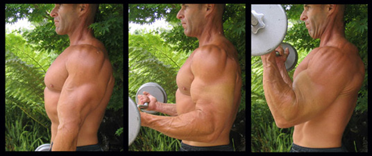 Curl_biceps