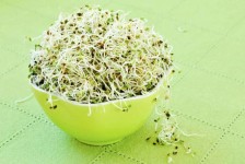 Para-que-sirve-la-alfalfa