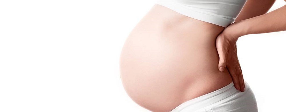 Nutricion