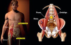 psoas-iliaco