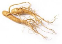 ginseng
