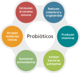 probioticos